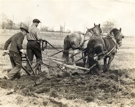 Decker Farm: NYC’s oldest continuously working family-style farm | Then and Now - silive.com