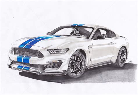 Mustang Drawing at PaintingValley.com | Explore collection of Mustang ...