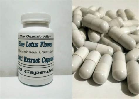 30 Capsules Blue Lotus Flower 200:1 Extract 200x - Etsy