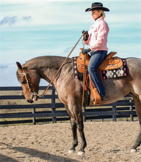 Improve Your Horsemanship and Stop Bugging Your Horse! | Western horsemanship, Horses, Horsemanship