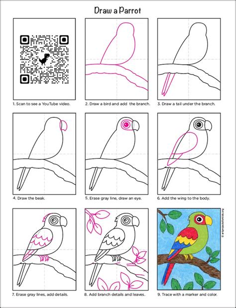 How To Draw A Parrot For Kids