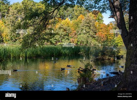 Waterfront park Åbackarna and Motala river during autumn in Norrköping, Sweden Stock Photo - Alamy