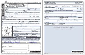 Sample Passport Application | Classles Democracy