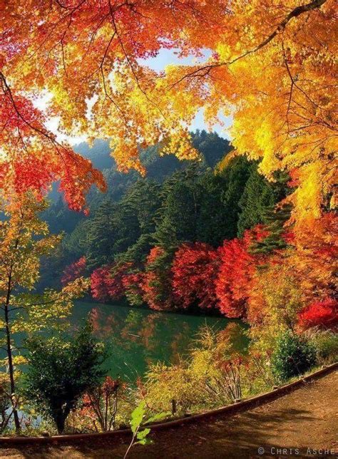 Autumn in Canada | Autumn scenery, Fall pictures, Autumn scenes