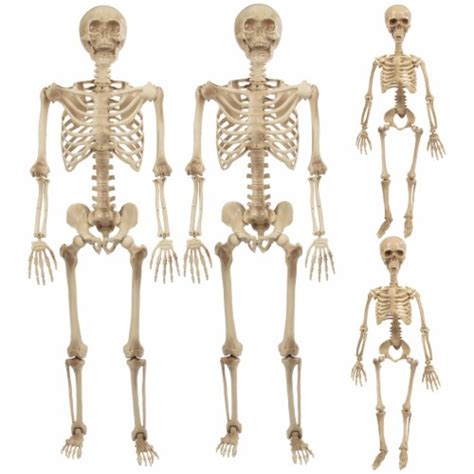 Posable Life Size Human Skeletons, Set of 2 - Adult & Child -Indoor ...