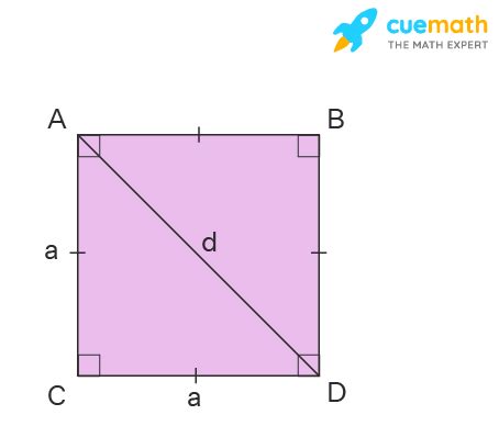 Angles of Square - Interior Angles, Diagonal Angles, and Sum of Angles