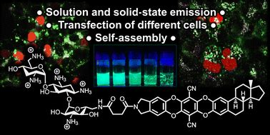 Deoxyestrone-based lipofection agents with solution- and solid-state emission properties ...