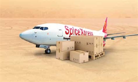 SpiceJet insolvency row: DGCA's early warnings reveal brewing trouble | Zee Business