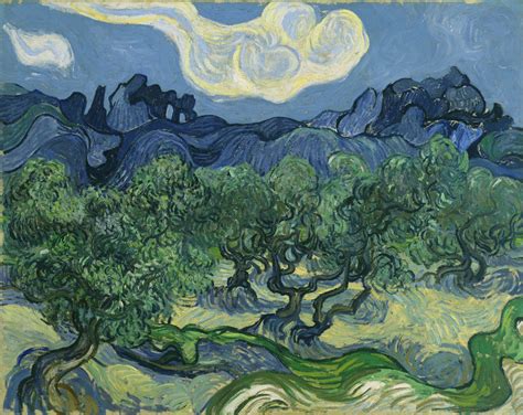 The Olive Trees Van Gogh - United Kingdom