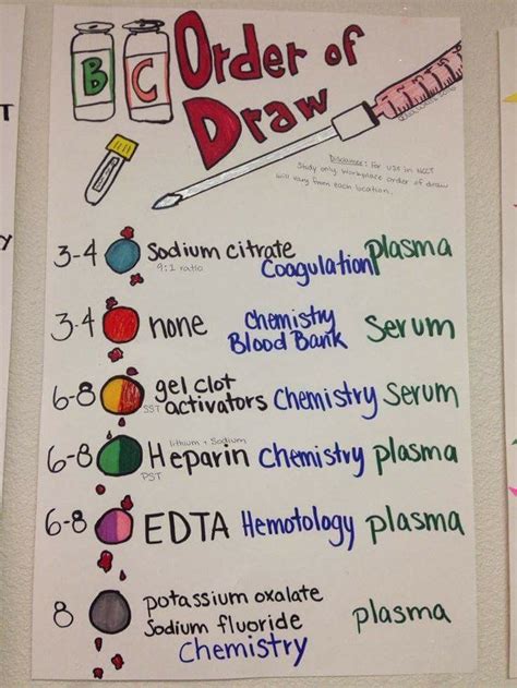 Phlebotomy Order Of Draw And Tube Additives Worksheet