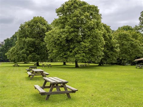 Wooden picnic tables in a field in a park 2843957 Stock Photo at Vecteezy