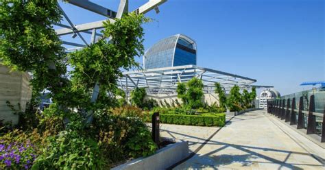 Urban Greening to Boost Biodiversity, Fight Climate Change