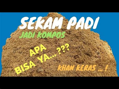 CARA MEMBUAT KOMPOS SEKAM PADI - YouTube