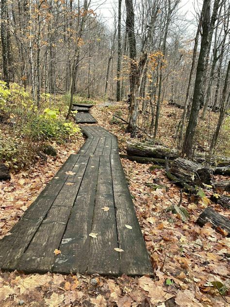 King Mountain Trail - Quebec, Canada | AllTrails