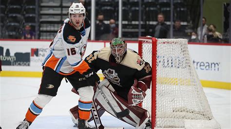 San Diego Gulls Announce Updates To The 2021-22 Regular-Season Schedule | San Diego Gulls