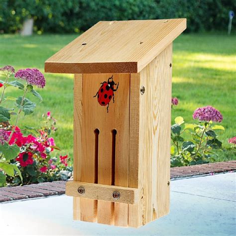 Select Ladybug Habitat