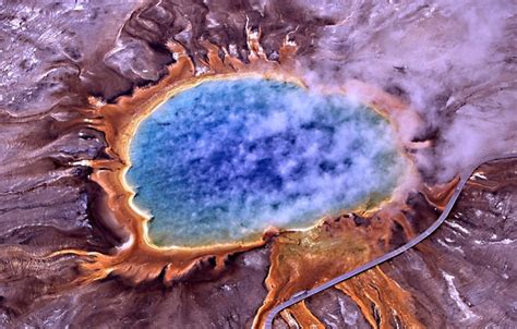 Unusual Bacteria: Strange Facts About Fascinating Microbes - Owlcation