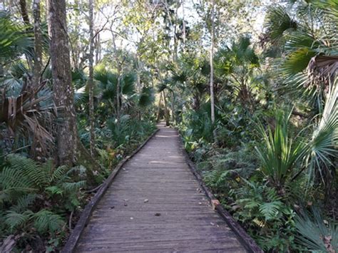 Wekiva Springs State Park, FL. Bike, Hike. E-Z Map, Photos.