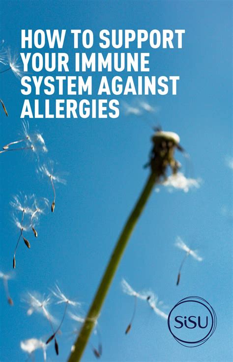 How to Support Your Immune System Against Allergies - Sisu