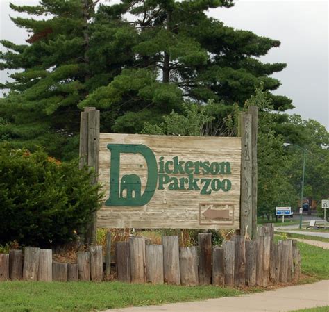 Dickerson Park Zoo - Missouri | Springfield missouri, Family day, Missouri