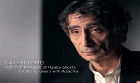 Dr. Gabor Maté on Addiction, Health, Homelessness, ADHD, Mental Health + Anger - The Health Zone ...