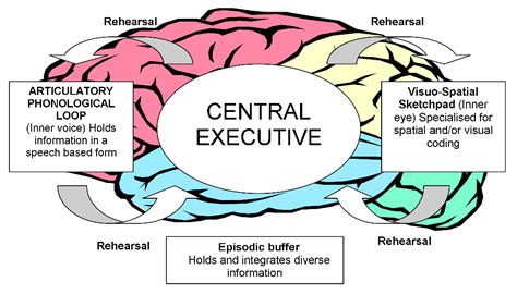 Cognitive Psychology - A-Level Psychology Wiki