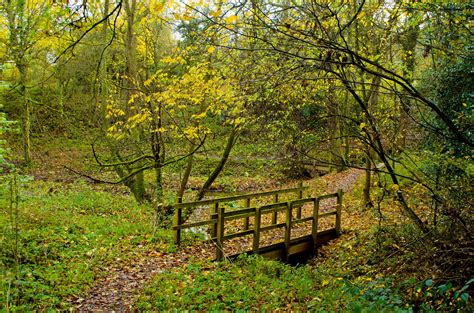 Autumn Landscape Free Stock Photo - Public Domain Pictures