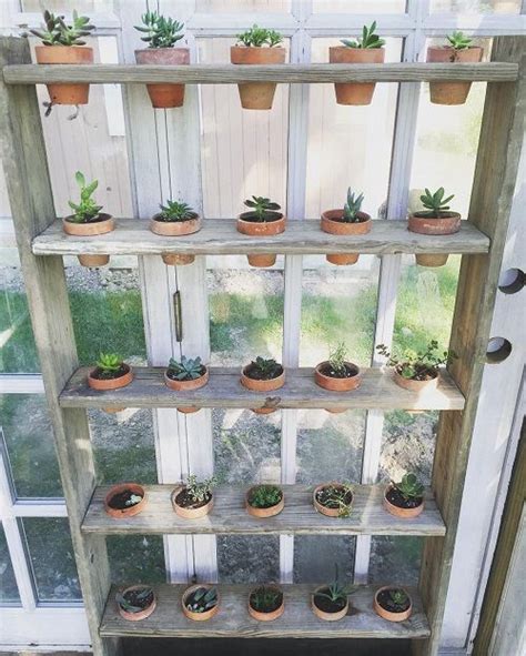 22 Greenhouse Shelving Ideas You Must Try! | Simple greenhouse, Greenhouse shelves, Diy ...