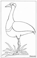 Birds Coloring Pages  Pitara Kids Network sketch template