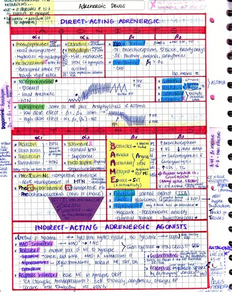 My Notes for USMLE — Alpha & Beta Agonists & Antagonists