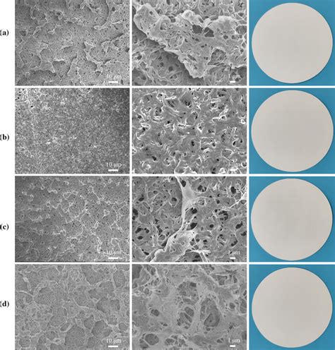 SEM images of membrane: a pristine PVDF membrane, b PVDF-CS-50 ...