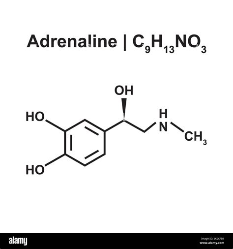 Adrenaline Molecule (C9H13NO3) Chemical Structure. Vector Illustration ...