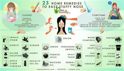 23 Home Remedies to Ease Stuffy Nose - Home Remedies - Natural & Herbal ...