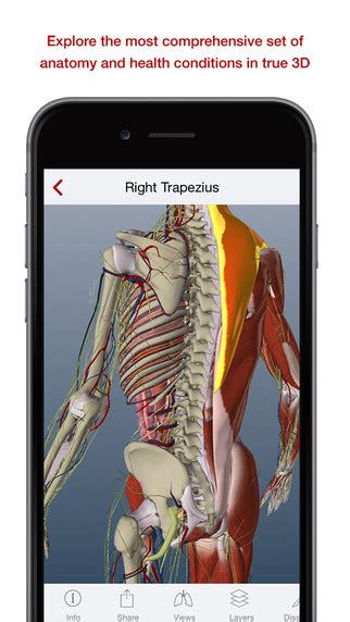 BioDigital Human - Anatomy and Health Conditions in 3D! Review - Slant