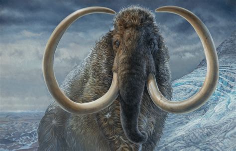 La historia de Kik, el mamut viajero que recorrió dos veces el mundo hace 17,000 años - National ...