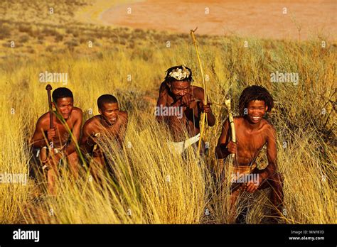 San people hunting hi-res stock photography and images - Alamy