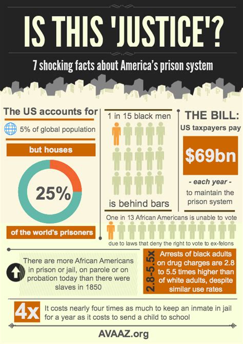 American Prison Paradox - iNFOGRAPHiCs MANiA