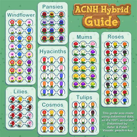 ACNH flower guide | Animal crossing, Animal crossing qr, Animal ...