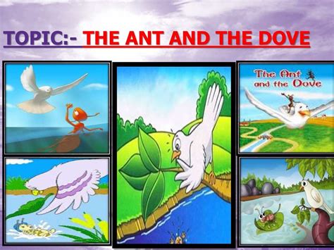 STORY - WRITING (THE ANT AND THE DOVE)