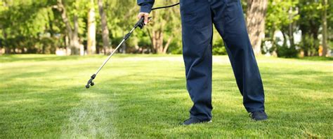 Is Your Lawn Full of Stubborn, Patchy Grass? Read This! | Prestige ...