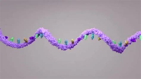 RNA strand rotating, animation | Stock Video | Pond5