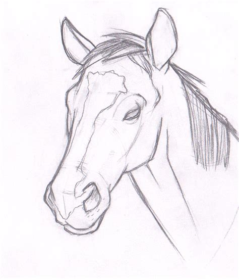 Horse Head by ChrisAtherton on DeviantArt