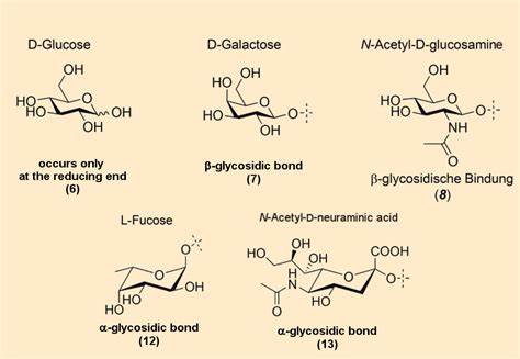 Oligosaccharides and their Structural Diversity (Infobox 1 - Nursing ...