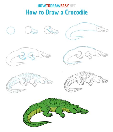 How to Draw a Crocodile - How to Draw Easy