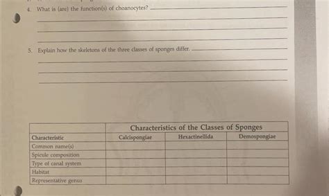 Solved 4. What is (are) the function(s) of choanocytes?. 5. | Chegg.com