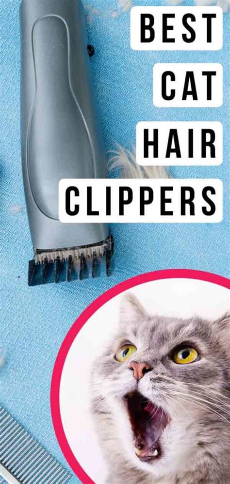 Best Cat Hair Clippers - Top Tools For Grooming And Removing Matted Fur