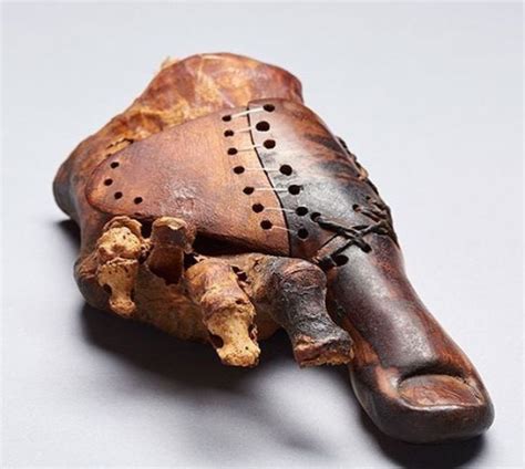 This prosthetic big toe was found in the tomb of an Egyptian mummy! This beautifully crafted ...