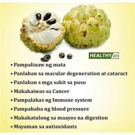 Atis Seeds Native(10pcs./pack)NATIVE | Shopee Philippines