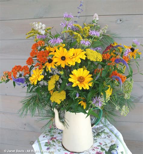 Rudbeckia hirta-in bouquet | Flower farm, Long blooming perennials, Flowers