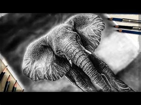 Realistic Drawings Of Elephants